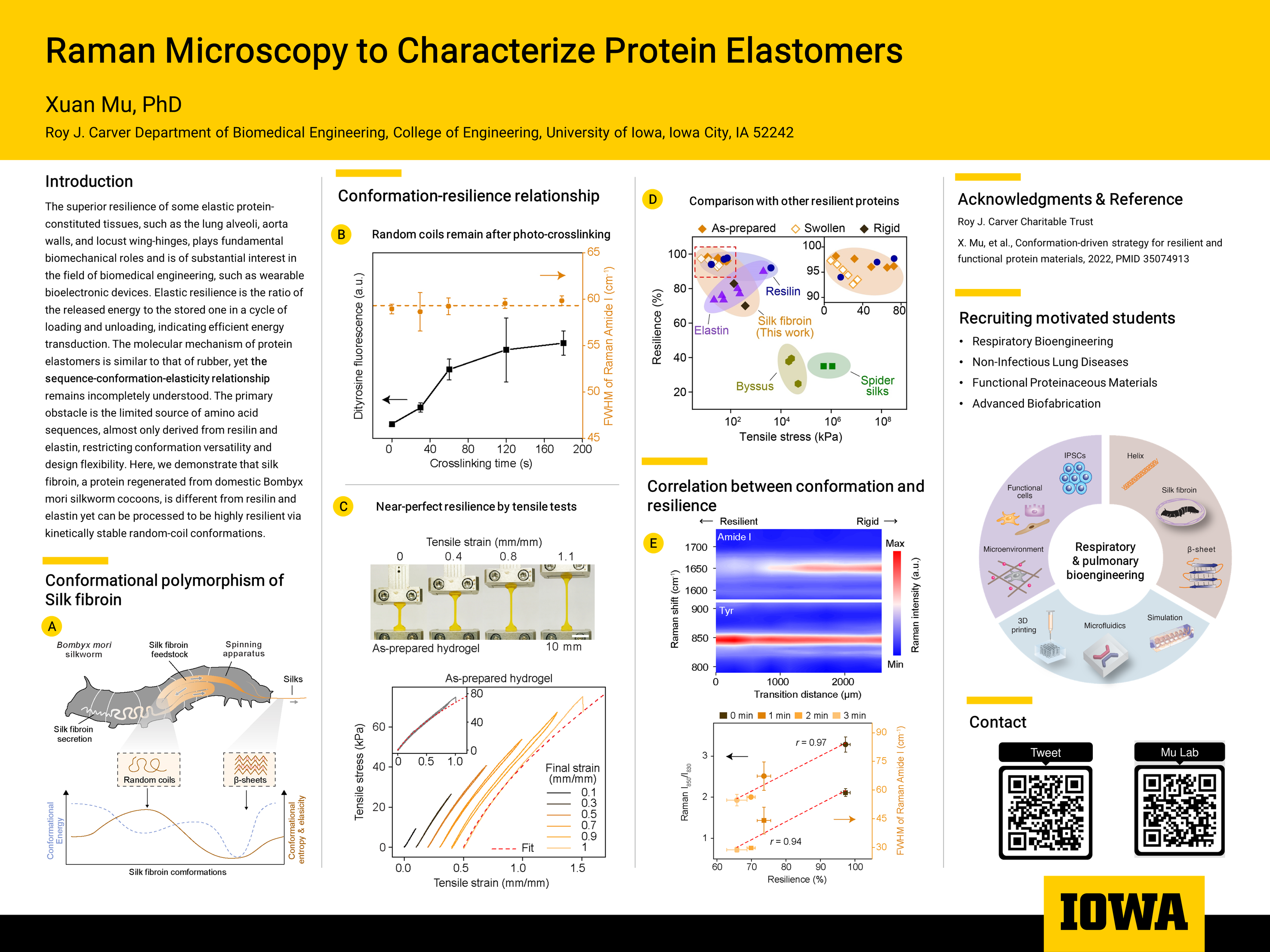 Raman poster