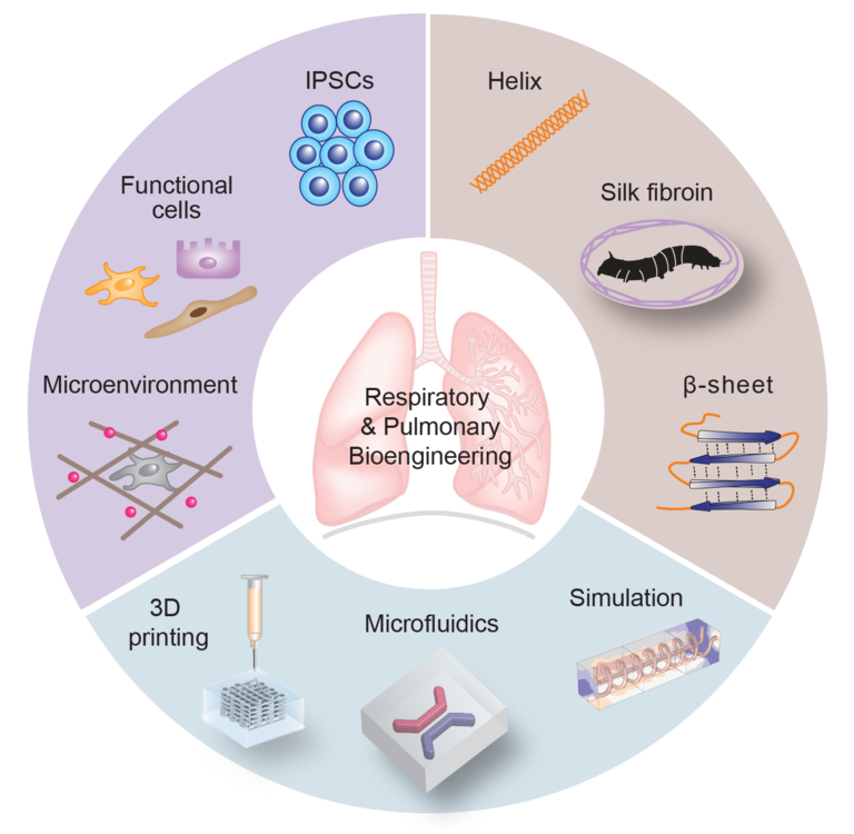 Research overview